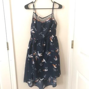Sparrow dress